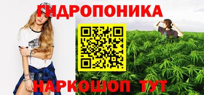 гашик Гусь-Хрустальный